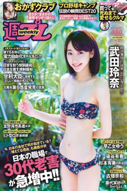 红楼梦电视剧