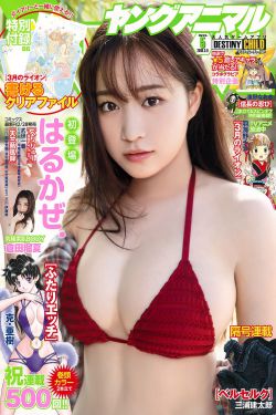 马克思佩恩2下载