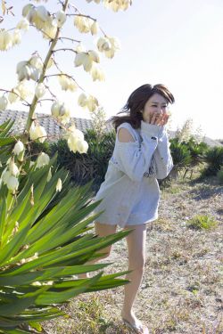 钻石婚宠独占神秘妻